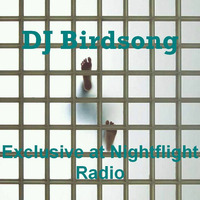 DJ Birdsong Exclusive at Nightflight Radio by DJ Birdsong
