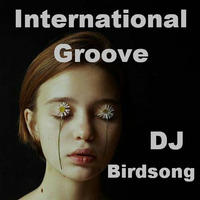 International Groove by DJ Birdsong