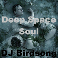 Deep Space Soul by DJ Birdsong