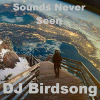 Sounds Never Seen by DJ Birdsong