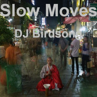 Slow Moves by DJ Birdsong