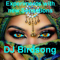Experiments with new Sensations by DJ Birdsong