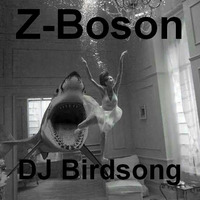 Z-Boson by DJ Birdsong