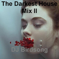 The Dark Side of House II by DJ Birdsong