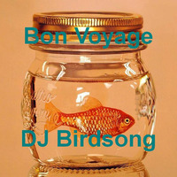 Bon Voyage by DJ Birdsong