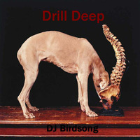 Drill Deep by DJ Birdsong