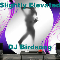 Slightly Elevated by DJ Birdsong