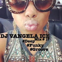 DJ VANGELA ICE - DEEP & FUNK & GROOVE - Mix # 17 by VANGELA ICE