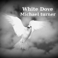 White Dove - Michael Turner © by The Cog with No Boundries