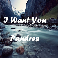 I Want You (Free Download) by Pandres