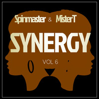 SYNERGY VOL 6 by Mister T
