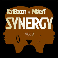 SYNERGY VOL 3 by Mister T