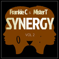 SYNERGY VOL 2 by Mister T