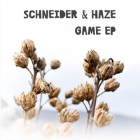 Schneider & Haze - Deep I Can (Original Mix) by Rene Schneider