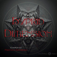What You Know!! 230Bpm - from V​.​A​.​-​Hyprid Dimension by Hyprid Records by TRAUMATICOMA