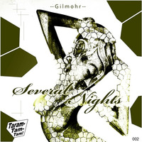 Several Nights (Original Mix) - Gilmohr // FREE DOWNLOAD by Gilmohr