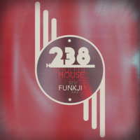N. 238 - Soulful &amp; Funky House Session by funkji Dj