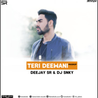 Teri Deewani ft.Pav Dharia - DJ SNKY & Deejay SR (Mashup) by DJ SNKY
