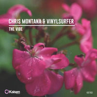 Chris Montana & Vinylsurfer - The Vibe (Teaser) by Chris Montana