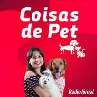 Os problemas causados pela obesidade em cães e gatos by Rádio Jornal