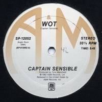 Captain sensible - Wot! (Nando Edit) by Nando