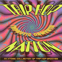 Trip Hop Nation Tripnotic Dementia 1996 CD Acid Breaks by dj yayo as dj thrasher