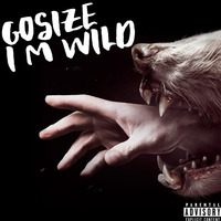 DZR1073 : Gosize - I M Wild (Original Mix) 25/12/2017 on Beatport by Gosize