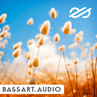 Bassart - Elements by bassart aka sebastian schmidgen