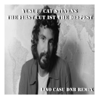 THE FIRST CUT IS THE DEEPEST (Lino Casu DnB Remix) by Lino Casu