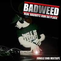 Dj BADWEED - Real Badboyz Run Da Place - Ragga jungle mix by Beat Nation
