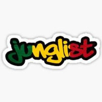 Dj Lion L - Junglist Come Back Again - Vol 3 -Mix Jungle - 18 - 08 - 2017 by Beat Nation