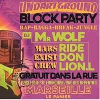 DJ Lion L - Superflux - preview jamalski night in the street no MC version 09_2016 Mars Radio DNB by Beat Nation
