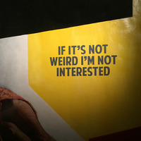 If It's Not Weird I'm Not Interested! by Henry van der Staart