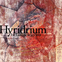 Hyridrium by Belial Pelegrim