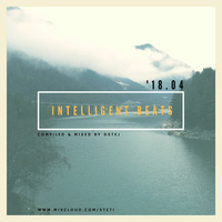 Intelligent beats '18.04 by STE