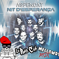 Aspencat - Nit d'Esperança (Lo Puto Cat Mellowdy Mix) by Lo Puto Cat