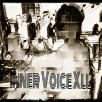 Inner Voice XII. by Antal Pápai    / Tono /