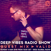 Deep Vibes - Guest VALID - 04.03.2018 by Deep Vibes