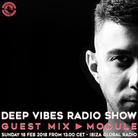 Deep Vibes - Guest MODULE - 18.02.2018 by Deep Vibes