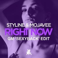 Styline & Mojavee - Right Now (GM 'SexyBack' Edit) by Styline