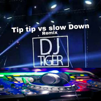 Slow Down VS  Tip Tip - Dj Tiger Remix by Dj Tiger