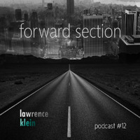Lawrence Klein - Forward Section #12 by Lawrence Klein