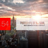 Prototype of Nu-Soul 54 by The Big La, Todd Kelley