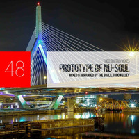 Prototype of Nu-Soul 48 by The Big La, Todd Kelley