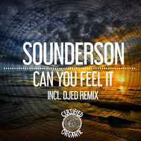 Sounderson - Can You Feel It [Djed Remix] by Certified Organik Records