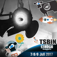 TSBiN @ STROGA FESTIVAL 2017 by TSBiN aka TeeSeN & SchuBi