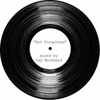 Vinyl Vaults Vol 10 - Not Forgotten! by Jay W