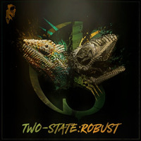 Two-State "Robust" LP [Schedule One Recordings] - OUT NOW!