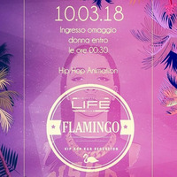 10/03/18 - Flamingo by Marco Olivari