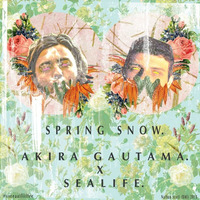 Spring Snow. w/ Sealife by AKIRA GAUTAMA